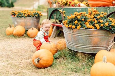 Motley's pumpkin patch photos. Things To Know About Motley's pumpkin patch photos. 